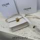 Celine Teen Box Polished Calfskin White Gold Hardware 18x15x6cm