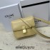 Celine Teen Box Polished Calfskin Light Yellow Gold Hardware 18x15x6cm