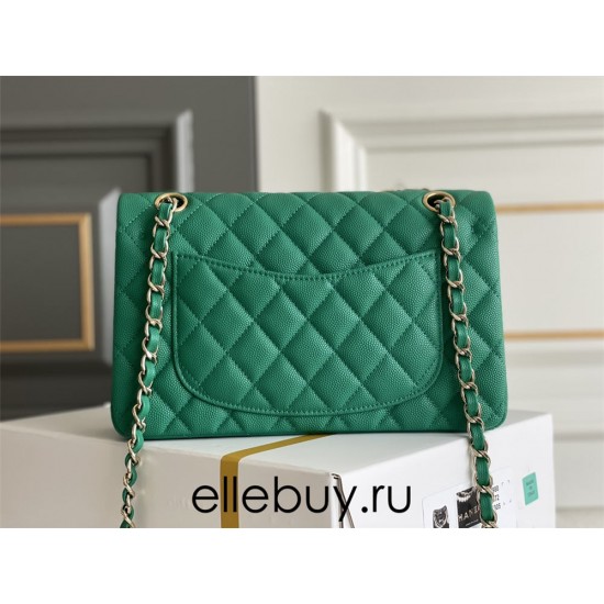 Chanel Classic Flap bag Small 23 Green with champagne gold hardware, Caviar leather, Hass Factory leather, seamless.