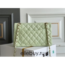 Chanel Classic Flap bag Small 23 Light Green with champagne gold hardware, Caviar leather, Hass Factory leather, seamless.