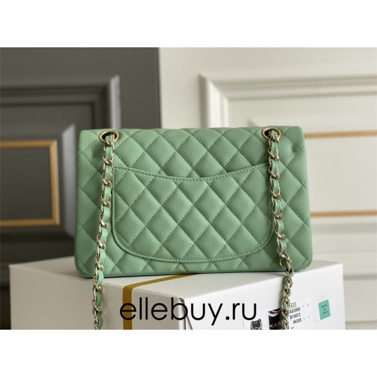 Chanel Classic Flap bag Small 23 Mint Green with champagne gold hardware, Caviar leather, Hass Factory leather, seamless.