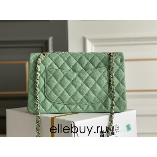 Chanel Classic Flap bag Medium 25 Mint Green with champagne gold hardware, Caviar leather, Hass Factory leather, seamless.