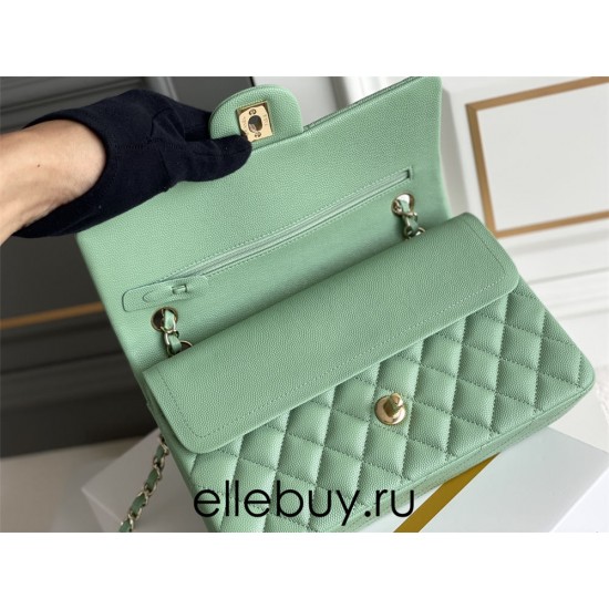 Chanel Classic Flap bag Medium 25 Mint Green with champagne gold hardware, Caviar leather, Hass Factory leather, seamless.