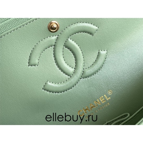 Chanel Classic Flap bag Medium 25 Mint Green with champagne gold hardware, Caviar leather, Hass Factory leather, seamless.