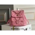 Chanel 23C Duma Backpack Pink Champagne Gold Hardware Small Size Calfskin Leather Hass Factory leather 19x18x12cm