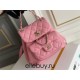 Chanel 23C Duma Backpack Pink Champagne Gold Hardware Small Size Calfskin Leather Hass Factory leather 19x18x12cm