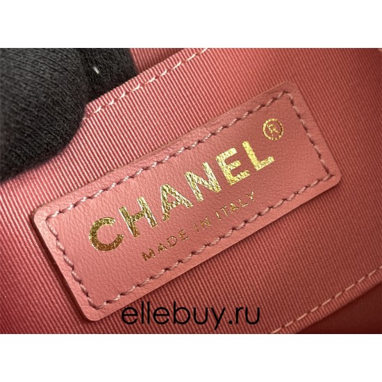 Chanel 23C Duma Backpack Pink Champagne Gold Hardware Small Size Calfskin Leather Hass Factory leather 19x18x12cm