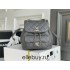 Chanel 22A Duma Backpack Gray Champagne Gold Hardware Small Size Lambskin Leather Hass Factory leather 18x18x12cm