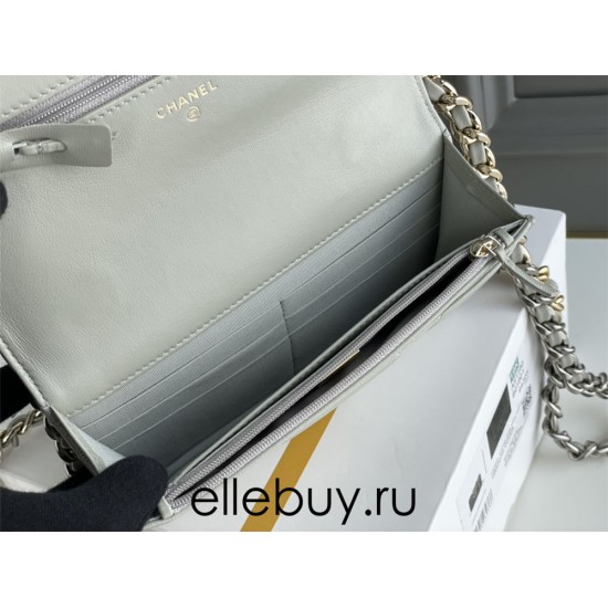 Chanel 19 WOC (Wallet on Chain) in Lambskin Leather, Gray, Silver Hardware, Hass Factory Leather, Dimensions: 20x18x9cm.