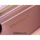 Chanel Classic Flap bag Mini 17 Pink Gold Hardware Camellia Clasp Lambskin Hass Factory leather 14x17x8cm