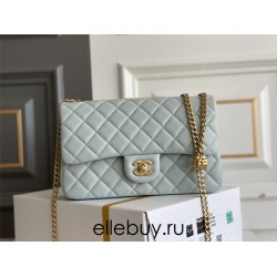 Chanel Classic Flap bag Small 23 Light Blue Gold Hardware Camellia Clasp Lambskin Hass Factory leather 15x23x6cm