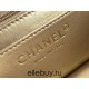 Chanel 22C Classic Flap bag Mini 20 Gold Ball White Gold Hardware Lambskin Hass Factory leather 13x20x7cm