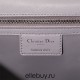 Dior Caro Calfskin, Gray, Deep Silver Hardware, Medium (25.5x15.5x8cm)