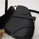 Dior Saddle Bag, Black Calfskin, Gold Hardware, Small (21x18x5cm)