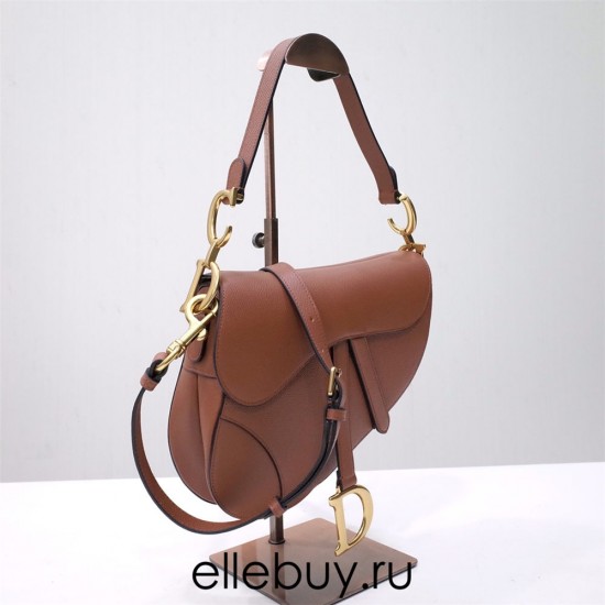 Dior Saddle Bag, Brown Calfskin, Gold Hardware, Medium (25.5x20x6.5cm)