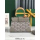 Goyard Saigon Super Mini 14.5 Milk Tea Gray 14.5x11.5x7.5cm