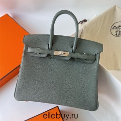 Hermes Hermès Birkin 25cm Togo Cc63 Apricot Green Waxed Thread Silver Hardware Hand-Stitched