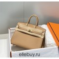 Birkin 25 Togo