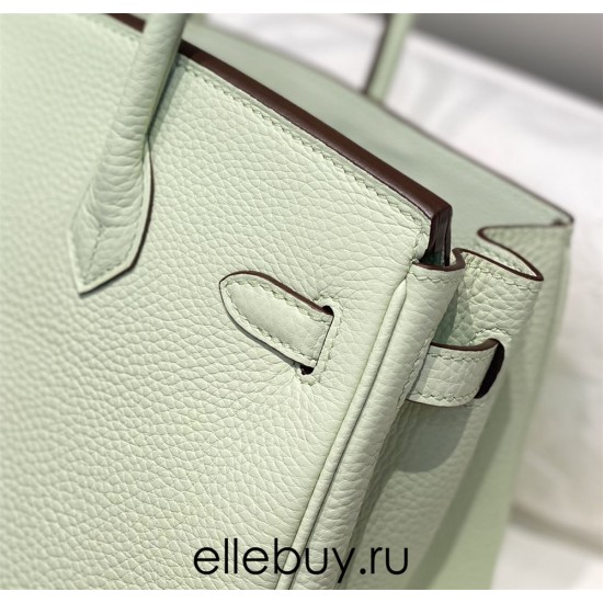 Hermes Hermès Birkin 25 Togo Bubble Green Silver Hardware Hand-Stitched