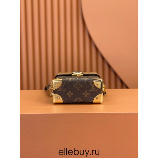 Louis Vuitton CAMERA BOX Handbag (M82465): Monogram and Monogram Reverse Canvas, Size - 12.5x17.6x6cm