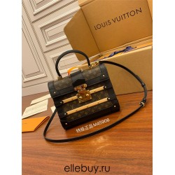 Louis Vuitton TRIANON Small Handbag (M45908) Nicolas Ghesquière: Size - 21x18x11cm