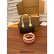 Louis Vuitton SPEEDY 20 Handbag (M45948) 2021 Autumn/Winter Collection: Size - 20x13.5x11.5cm