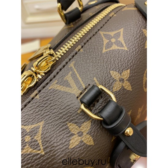 Louis Vuitton Petite Malle Souple Handbag (M45571) Chip Edition: Size - 20x14x7.5cm