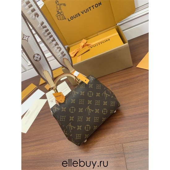 Louis Vuitton Cluny Mini Handbag (M46055): Size - 20x16x7.5cm