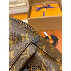 Louis Vuitton New Version M44873 PALM SPRINGS Mini Backpack Nicolas Ghesquière Monogram Size: 17x22x10cm