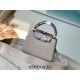 Louis Vuitton N99387/M48865 Gray Snake Shoulder Capucines BB Handbag Grained Taurillon Leather, Size: 27 x18x9cm