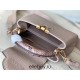 Louis Vuitton N99387/M48865 Gray Snake Shoulder Capucines BB Handbag Grained Taurillon Leather, Size: 27 x18x9cm