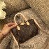 Louis Vuitton Bestselling NANO TURENNE Handbag (M61253), Size: 17x11x6cm