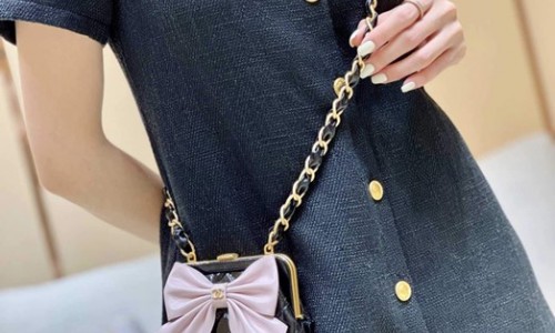 Ellebag super replica Chanel Clutch With Chain (AP4028): A Closer Look at Craftsmanship and Design(2024 Dec Updated)