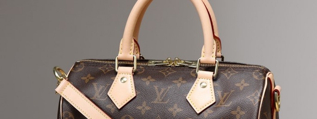 Ellebag's 1:1 Replica of Louis Vuitton M41113 Speedy 25 Handbag with Shoulder Strap – Perfect Craftsmanship and Timeless Style(2024 Dec Updated)