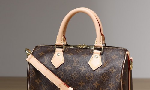 Ellebag's 1:1 Replica of Louis Vuitton M41113 Speedy 25 Handbag with Shoulder Strap – Perfect Craftsmanship and Timeless Style(2024 Dec Updated)