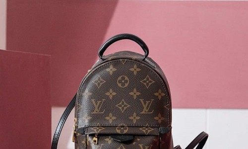 Ellebag’s 1:1 Replica of Louis Vuitton Palm Springs Mini Backpack M44873: The Perfect Blend of Fashion and Function(2025 Jan Updated)