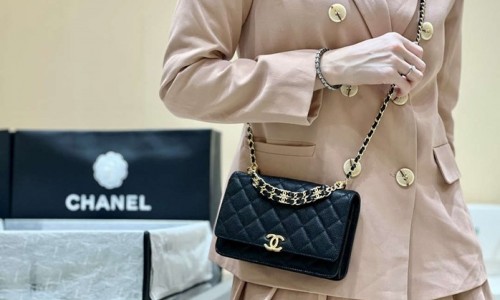 Ellebag's Masterful Recreation of the Chanel AP3019 Caviar Leather Wallet on Chain(2025 Jan Updated)