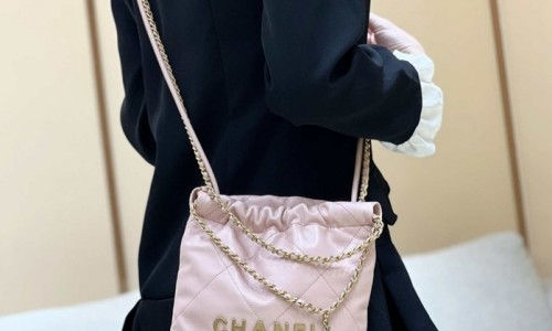 Ellebag's Masterful Recreation of the Chanel 22 Mini Bag in Pink Lambskin with Gold Hardware(2024 Dec Updated)