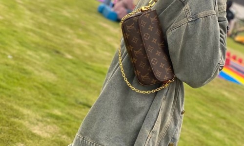 Ellebag's 1:1 Replica of Louis Vuitton M81911 Wallet On Chain Ivy Handbag(2024 Dec Updated)