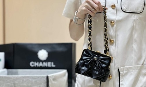 Ellebag real leather replica The Allure of the 2024 Chanel Small Hobo Bag in Shiny Lambskin(2024 Dec Updated)