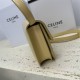 Celine Teen Box Polished Calfskin Light Yellow Gold Hardware 18x15x6cm