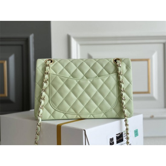 Chanel Classic Flap bag Small 23 Light Green with champagne gold hardware, Caviar leather, Hass Factory leather, seamless.