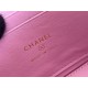 Chanel Vanity Makeup pouch 23A Black with pink interior, handle, Camellia adjustable buckle, lambskin, 17x10x8cm.