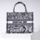 Dior Book Tote, Classic Zoo Oblique Embroidery, Small 26, Size: 26.5x21x14cm