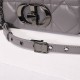 Dior Caro Calfskin, Gray, Deep Silver Hardware, Small (20x12x7cm)