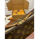 Louis Vuitton MATEL Fashion Show Moon Mother Bag (M46311): Latest 2022 Fashion Show, Classic Monogram with Yellow Flowers, Size - 38x30x10cm