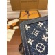 Louis Vuitton DAUPHINE Medium Handbag (M59631): Size - 25x17x10.5cm