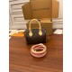 Louis Vuitton SPEEDY 20 Handbag (M45948) 2021 Autumn/Winter Collection: Size - 20x13.5x11.5cm