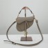 Dior saddle 25.5*20*6.5cm grey gold leather