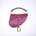 Dior saddle 25.5*20*6.5cm gold red leather